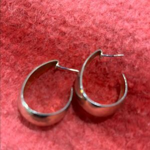 Elegant Silver Hoop Earrings